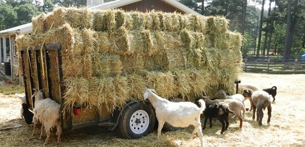 Πρώτες αποζημιώσεις αλλά όχι επιδοτήσεις